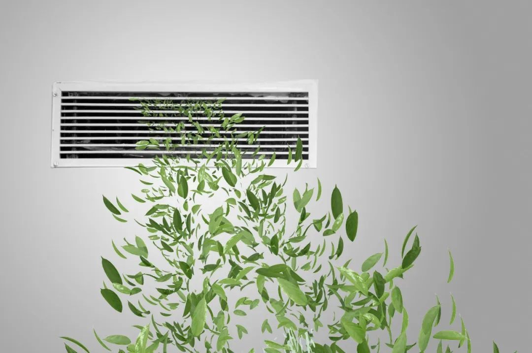 養(yǎng)寶生物 養(yǎng)寶生物